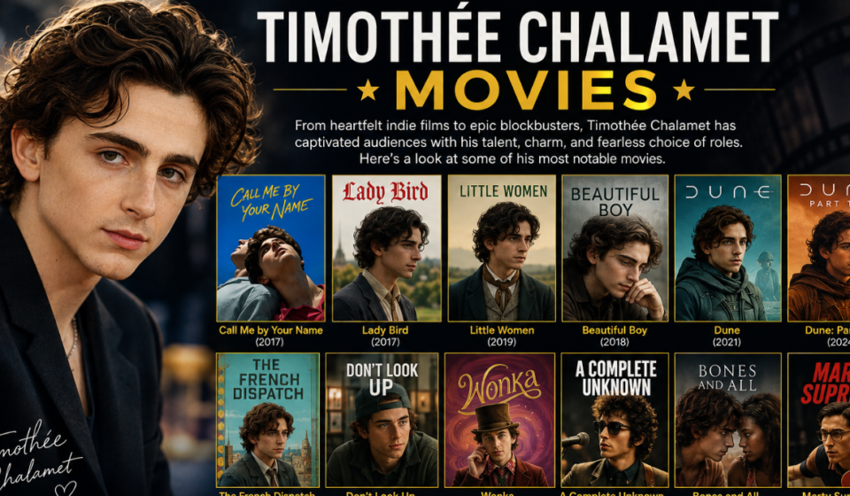timothée chalamet movies